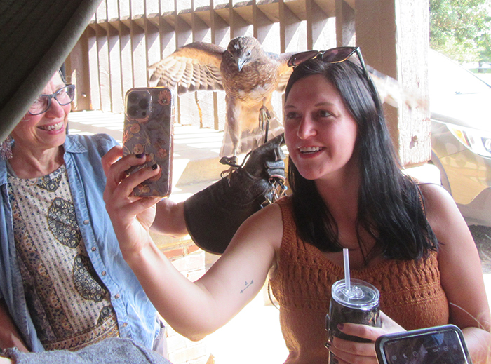 Allison_Paytas_and_many_others_snapped_a_selfie_with_Little_Red_a_red_tailed_hawk_held_by_Liz_Dennison-700.jpg