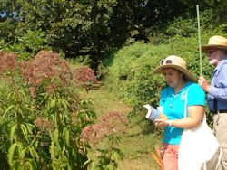 Mrs. Schmeichel MrsS