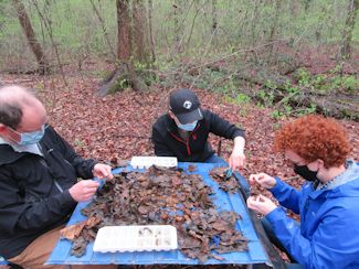 group sifting group sifting